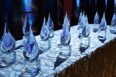The awards